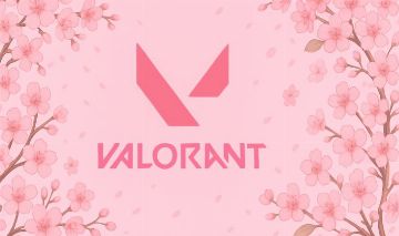 Conta Valorant skins Floreteria gaia