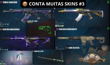 R$1220 GASTOS SKIN EDIÇÃO LIMITADA VCT Saqueadora Singularidade Sublime Karambit
