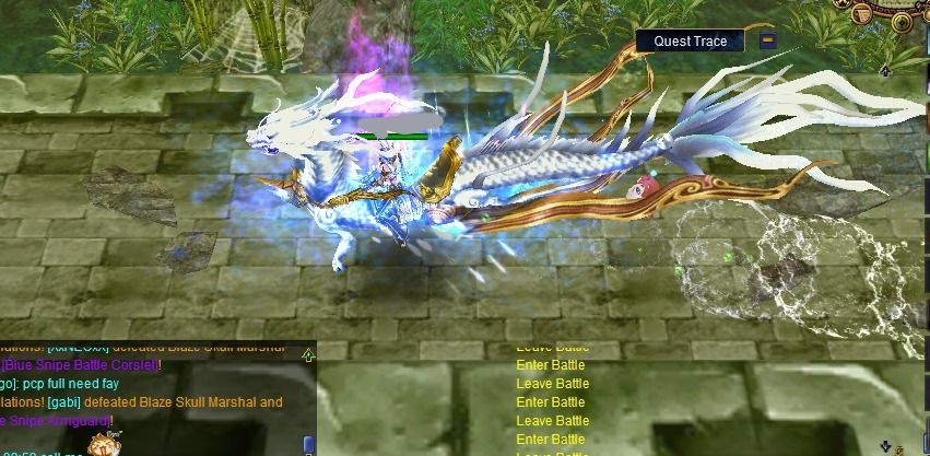 Tamer Full DR PvE +12