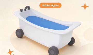 BATHTUB, CARRO BANHEIRA raríssimo acabando...