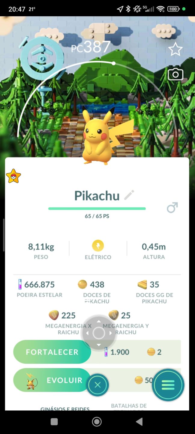 Pokémon com fundo especial(locais) e eventos