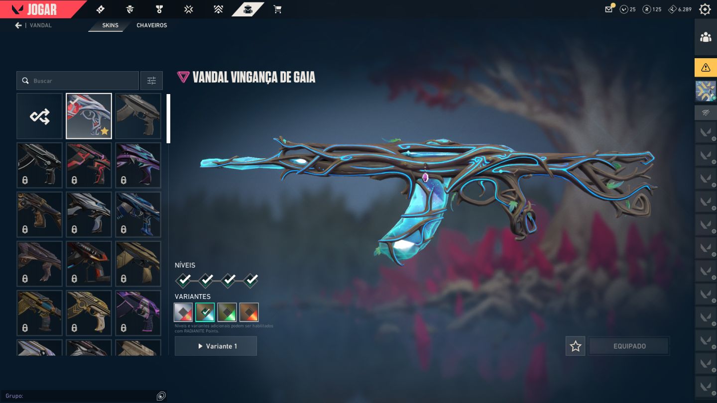 Conta Valorant chaveiro Diamante, vandal gaia e faca xenocaçador.