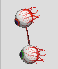 Matando o seu Boss no terraria !!