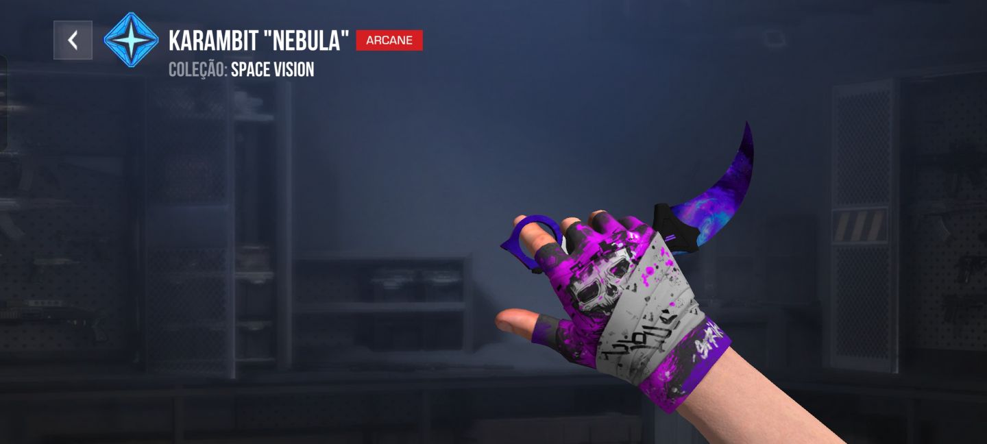 Conta Standoff 2 | Butterfly Legacy + Karambit Nebula | AKR Treasure Hunter, etc