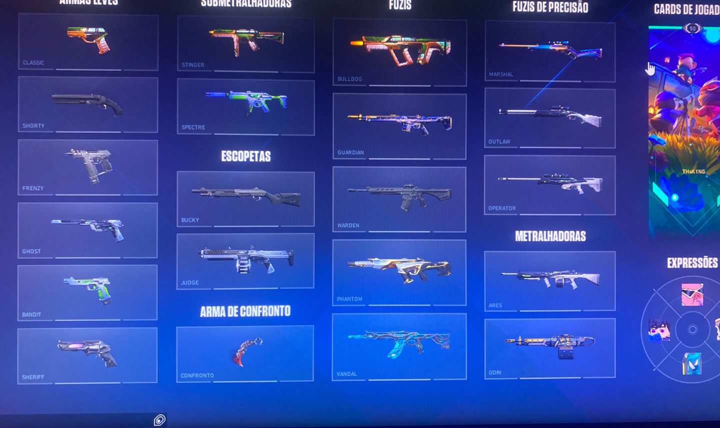 Conta valorant full acesso cheia de skins