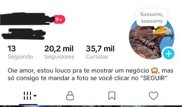 CONTA TIK TOK COM MAIS DE 20K DE SEGUIDORES + SUPORTE NA ENTREGA 24horas
