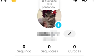 User de 4L no tiktok