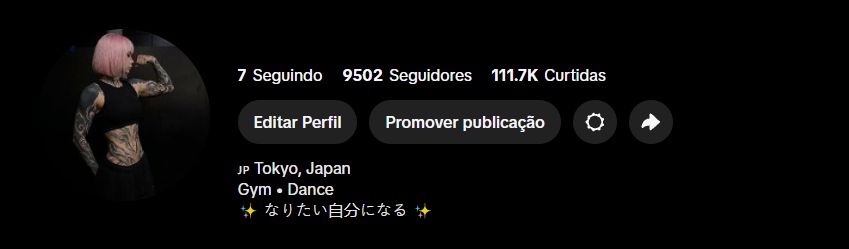 Perfil do tiktok com 9500k de Seguidores