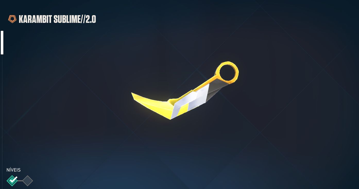 Conta de valorant com diversas skins