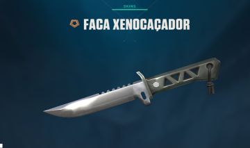 CONTA DE VALORANT DONO UNICO