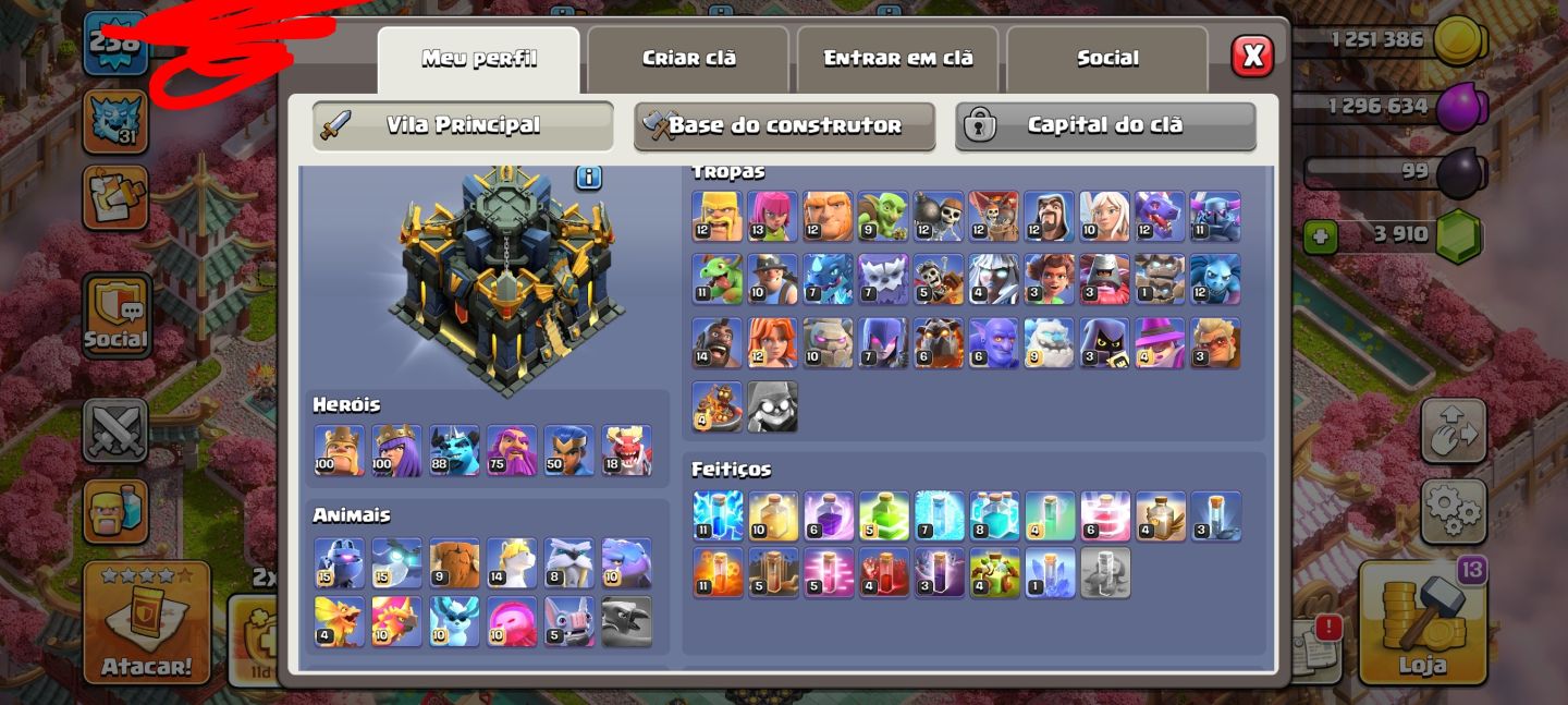 CV 17 QUASE FULL