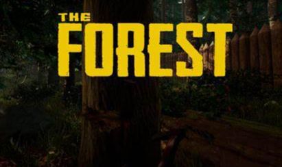 CONTA STEAM THE FOREST - FULL ACESSO