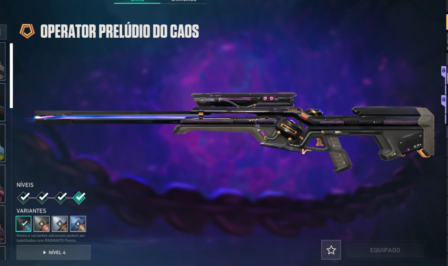 ACC VALORANT PACOTE SAQUEADORA E MUITAS SKINS