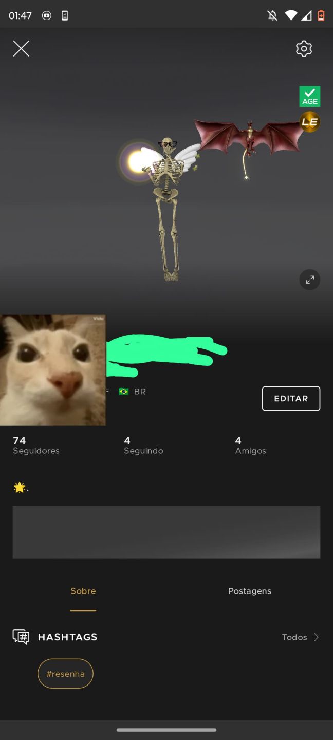 CONTA IMVU BASTANTE ITENS COM AGE E COM ALGUM SEGUIDORES