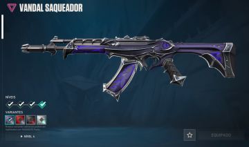 Conta valorant /skin saqueador Full acesso
