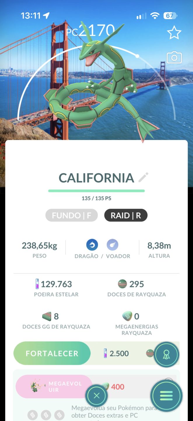 POKEMON RAROS