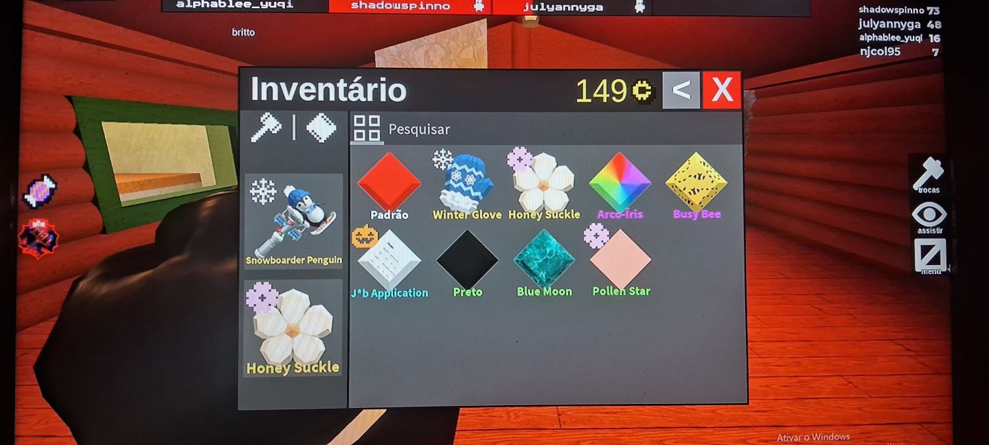 Conta roblox focada em itens femininos