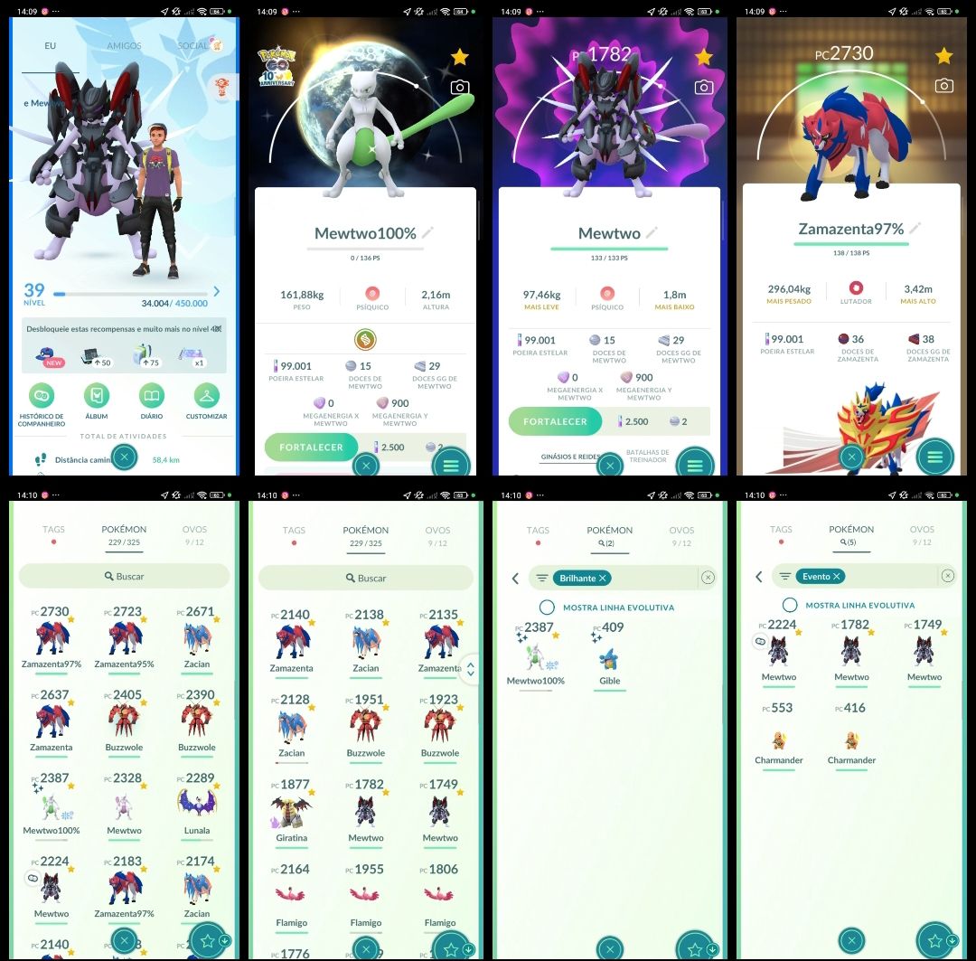 Nível 39! Mewtwo 100% Shiny (Shundo), Mewtwo Armadura, Zamazenta 97% Q215
