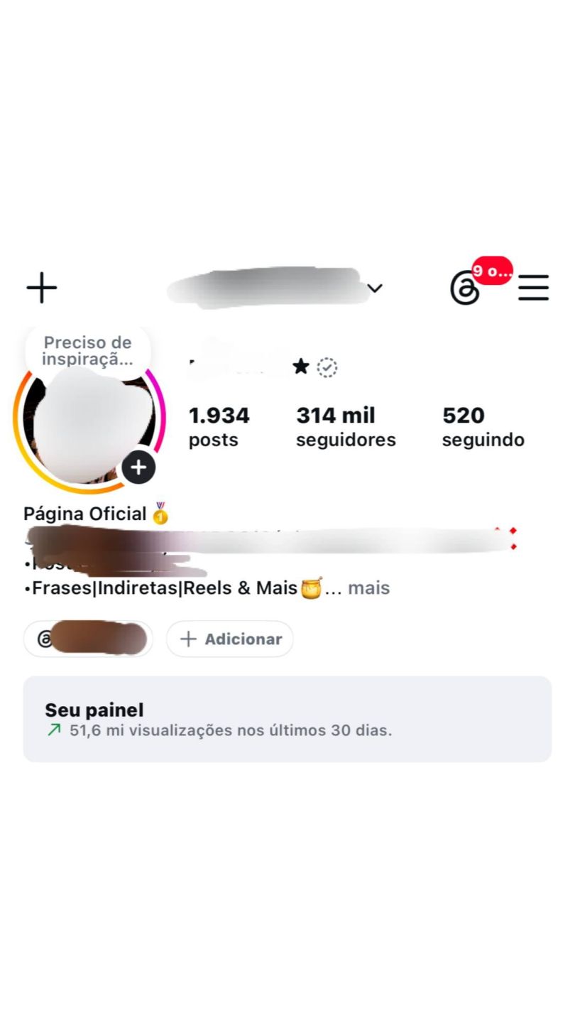 Perfil Instagram 316k Orgânico | 51M Views + E-mail Original
