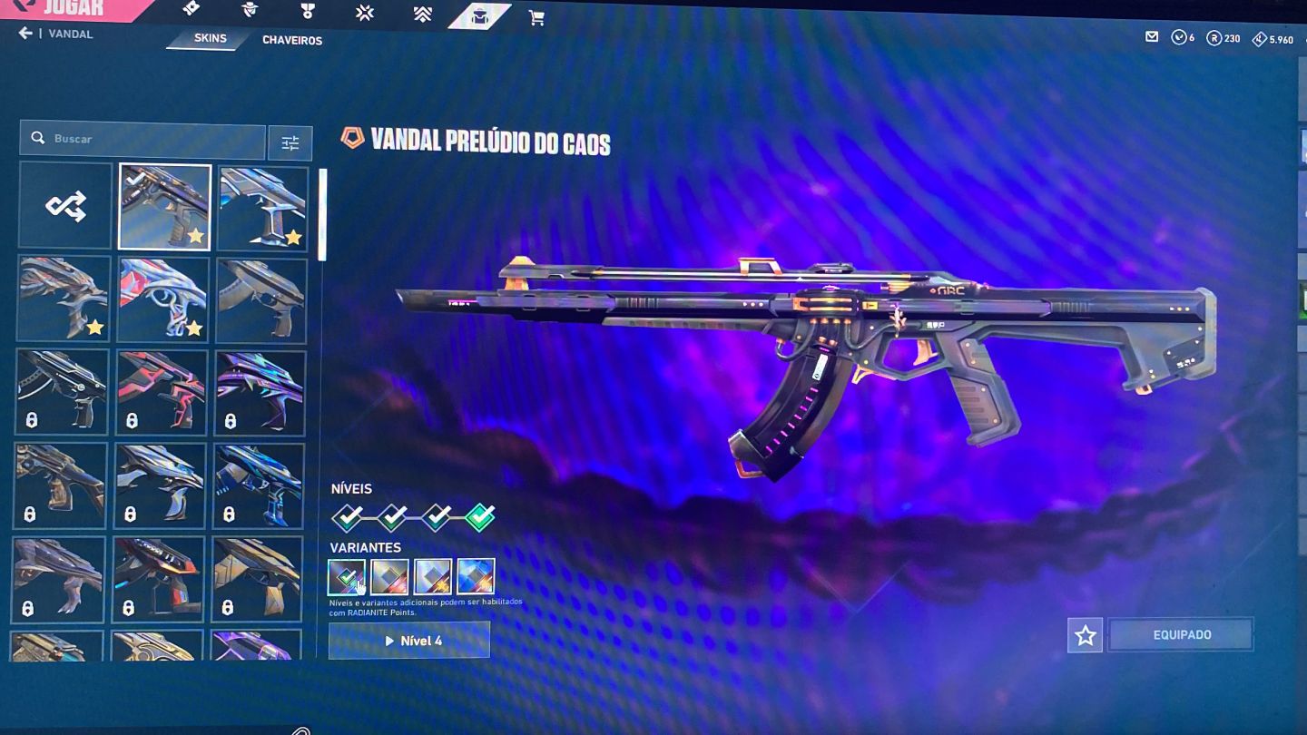 Conta valorant krambit saqueador E vandal prelúdio do caos