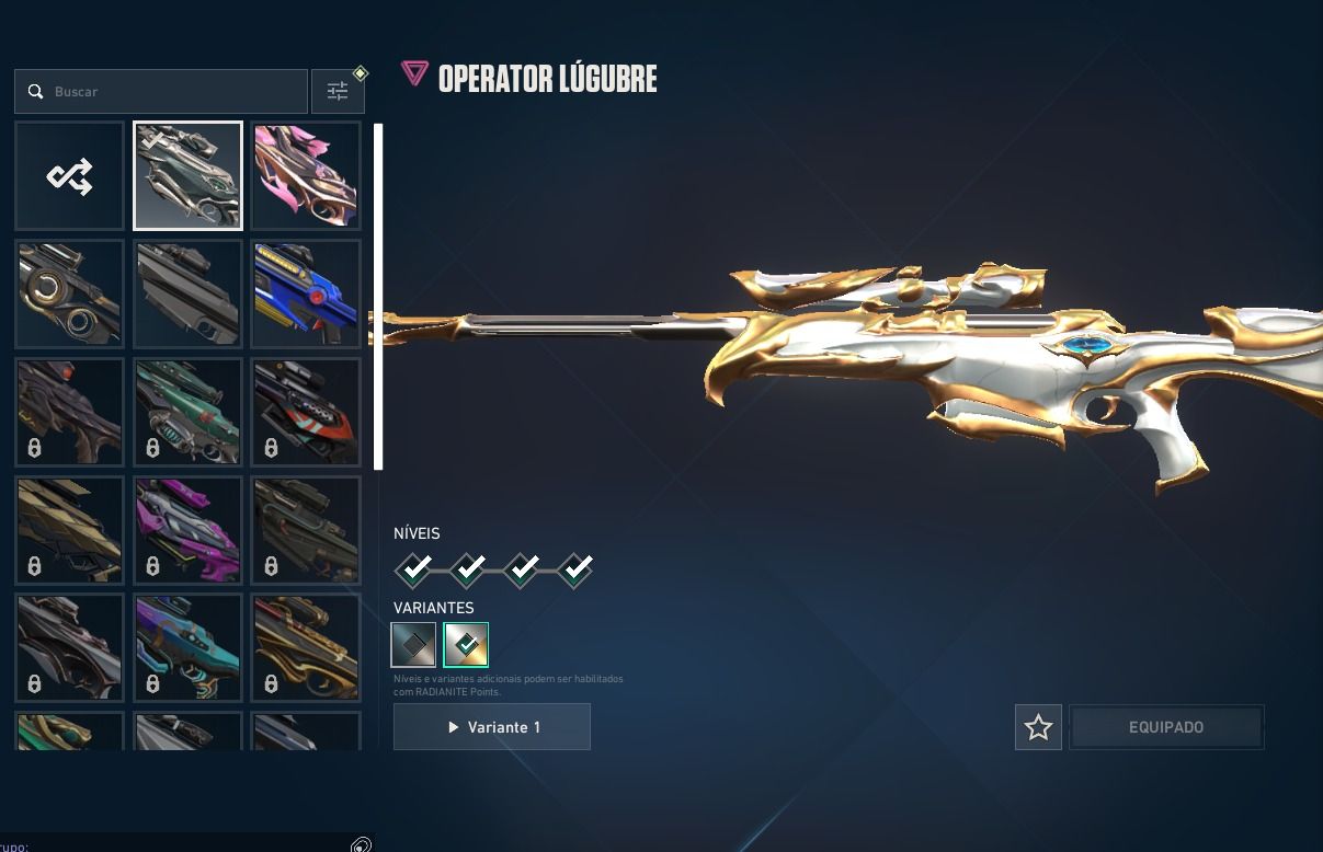 Conta muito boa, com muitas skins, ótima para usar de smurf ou como principal