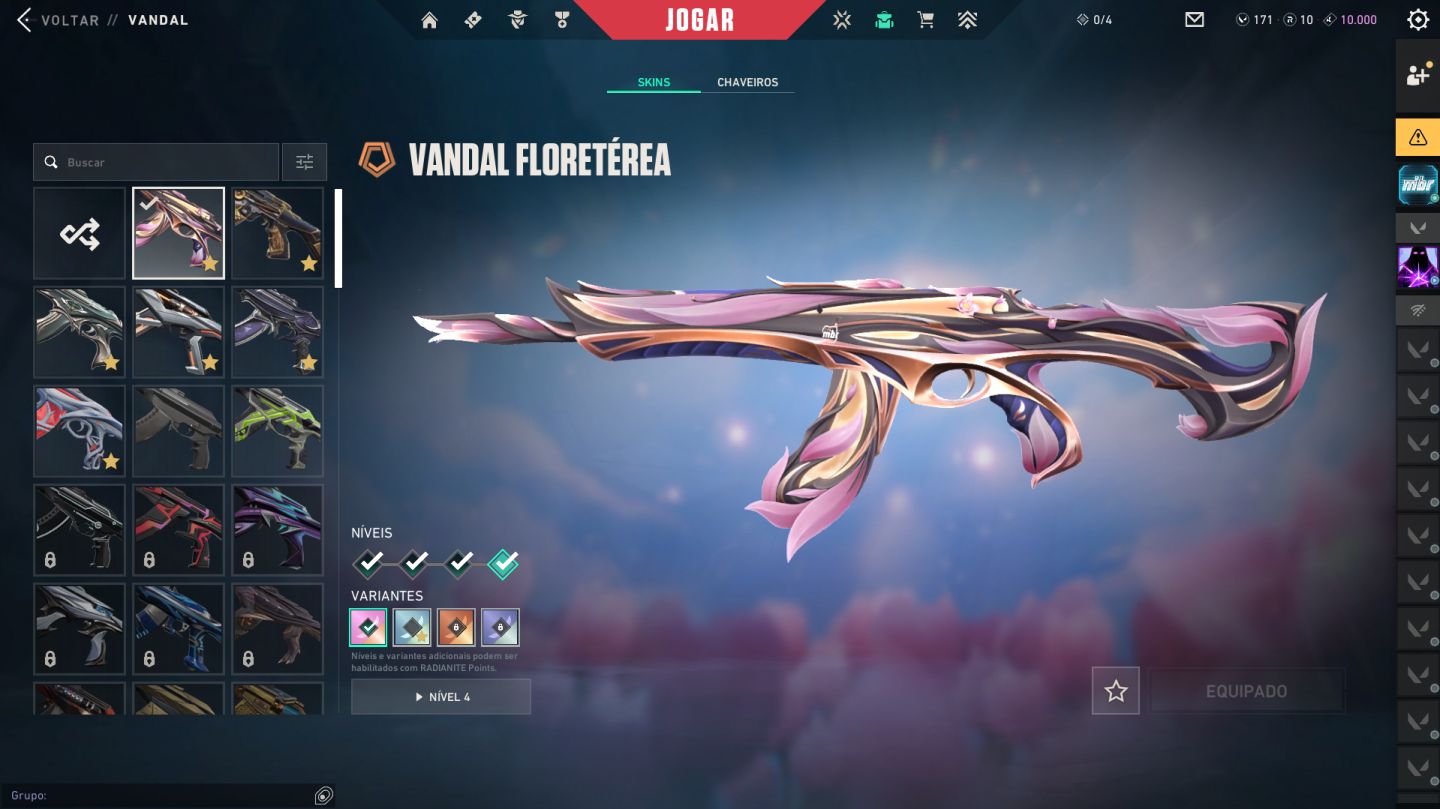 Conta valorant +4k reais gastos ( passe dessa temporada ja esta comprado )