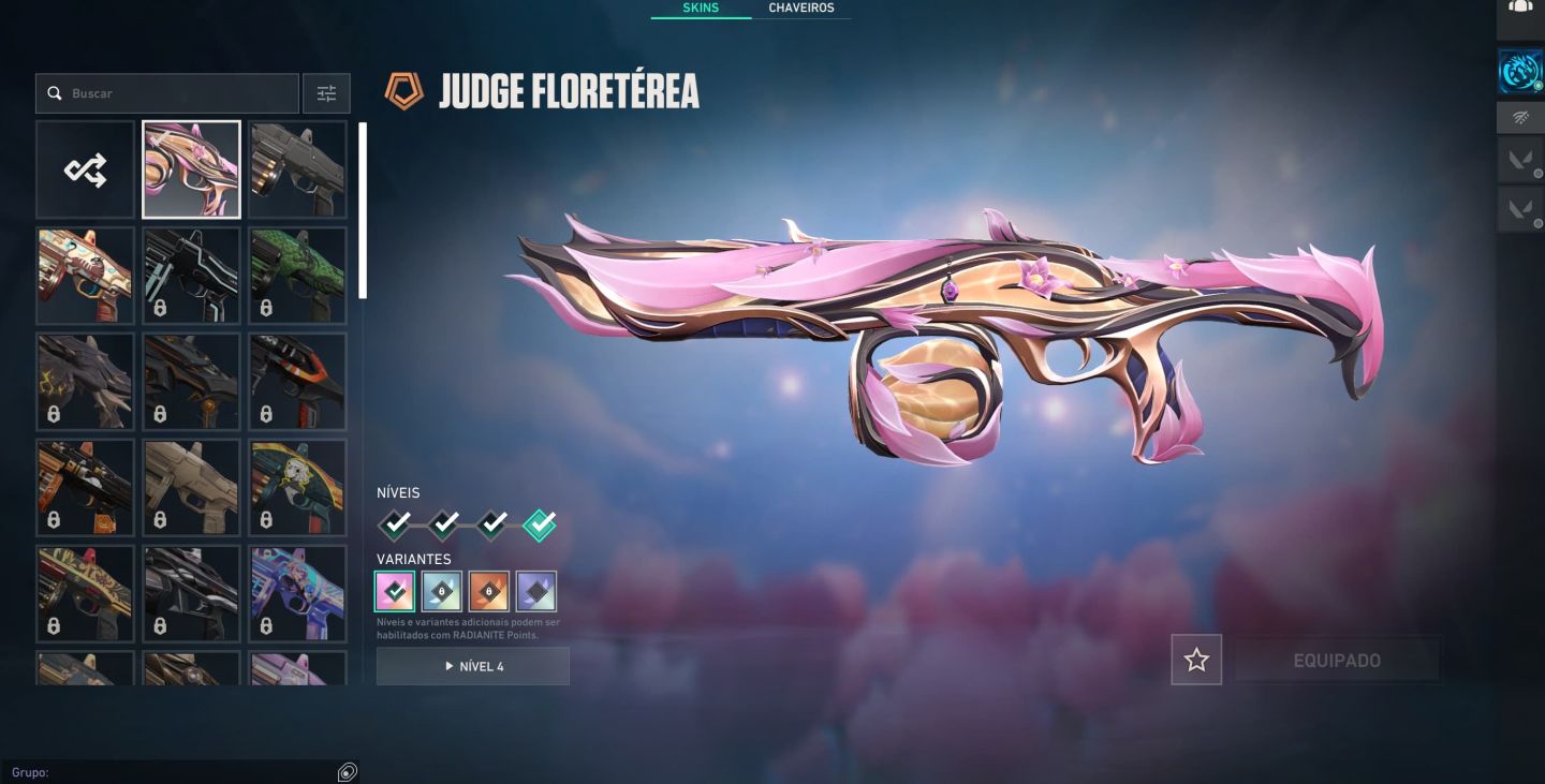 Conta Valorant Ascendente Full Acesso com Muitas Skins e Banners
