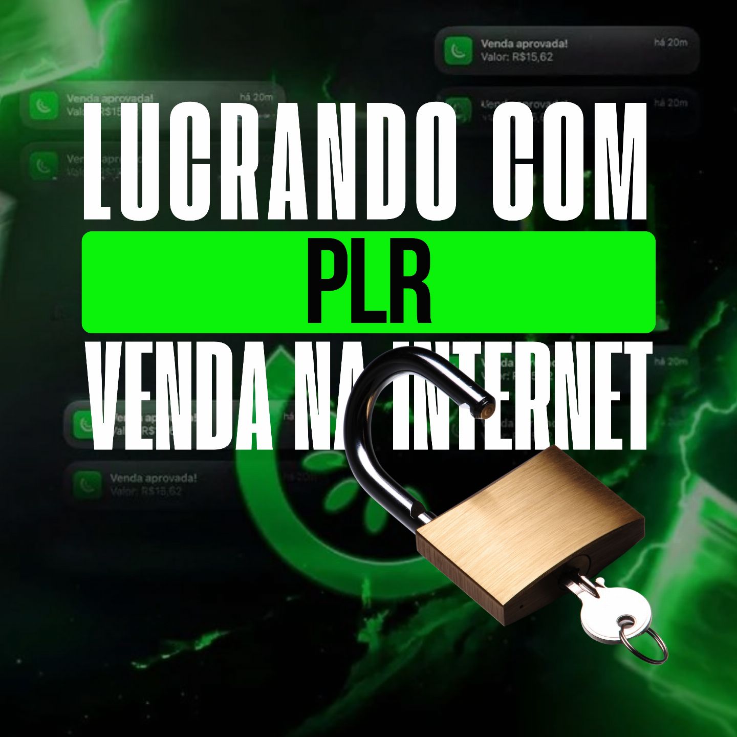 Lucrando com PLR (Em vídeo)