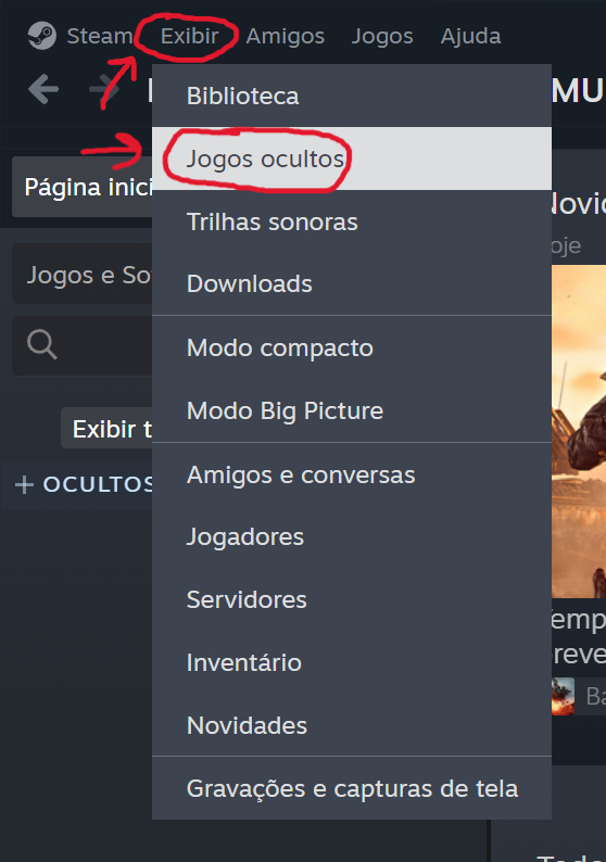 Conta steam com 35 jogos ,12 anos , avaliada em 2600