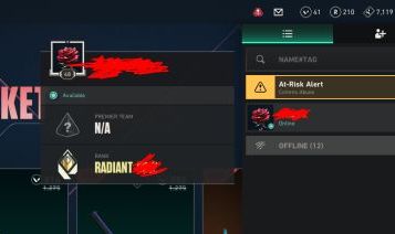 CONTA RADIANTE LVL 48, FACA ADAGA SAQUEADORA E VANDAL GAIA (PREÇO NEGOCIÁVEL)