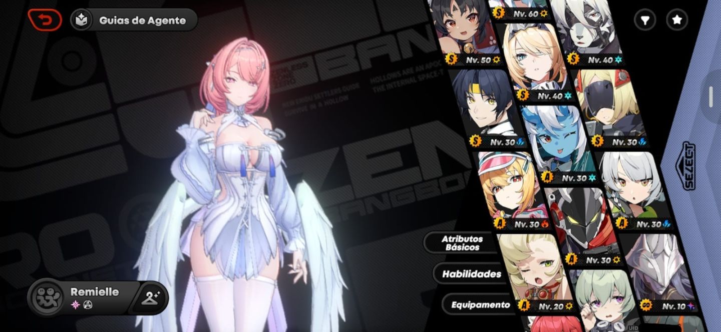 Conta zenless zone zero + skins