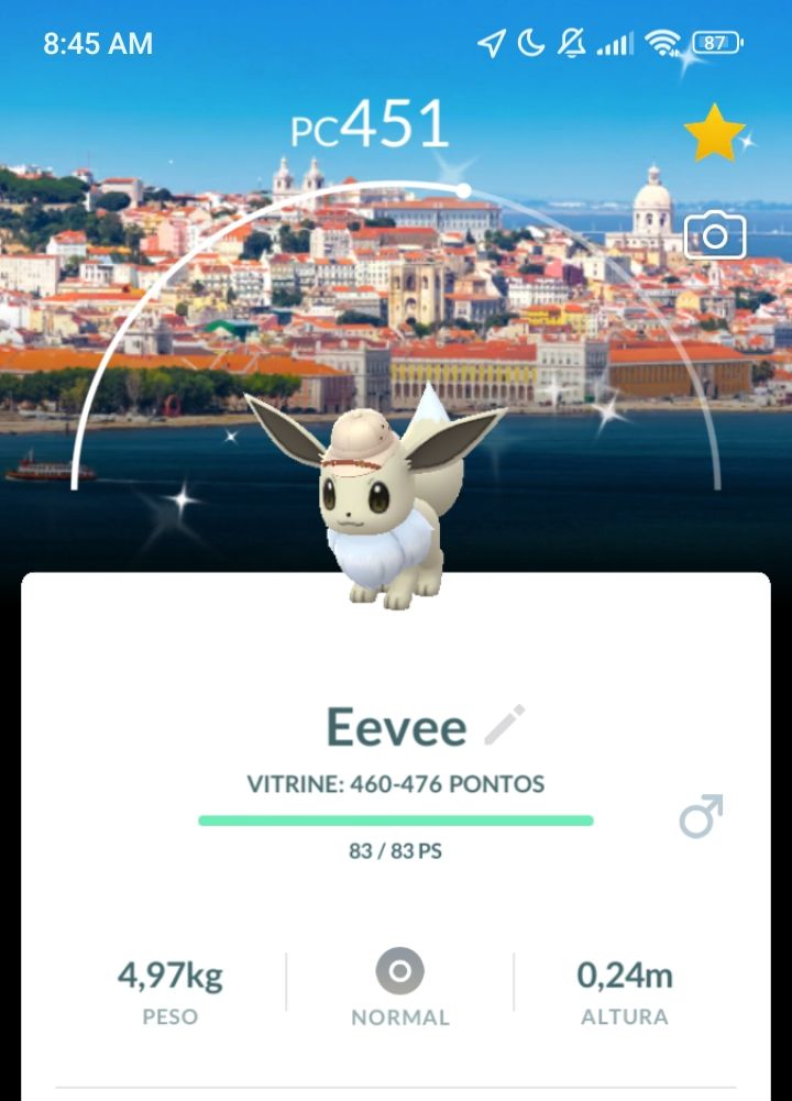 Shiny Eevee Lisboa Background