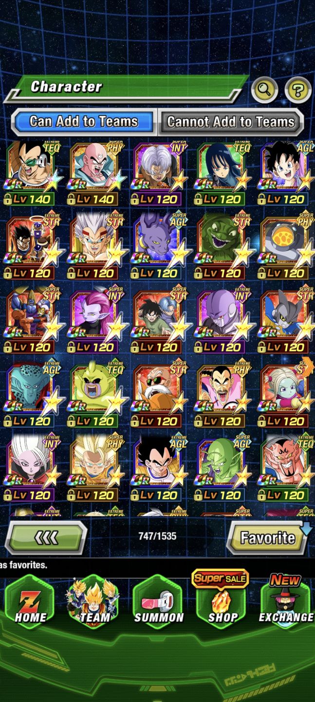 END GAME DOKKAN + 6K STONES
