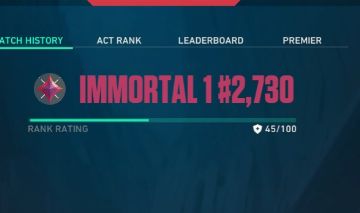 Conta valorant IMT 1
