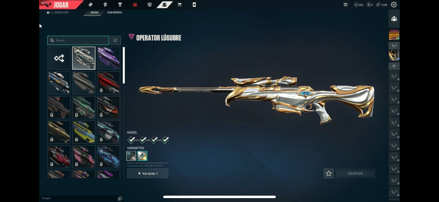 CONTA DE VALORANT LEVEL 171