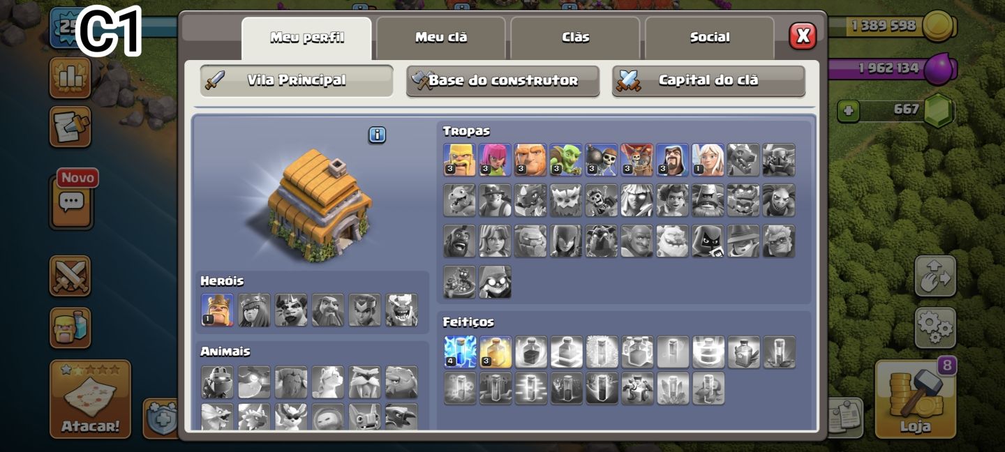 Melhores Contas CoC!!!