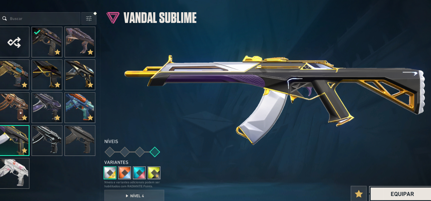 Conta gasto mais de 3k com mt skins limitadas barata