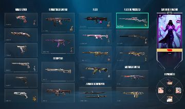 Conta rara de valorant com skins + vandal champions 2021