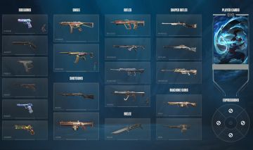 Conta de Valorant Skins Procuradas!!!