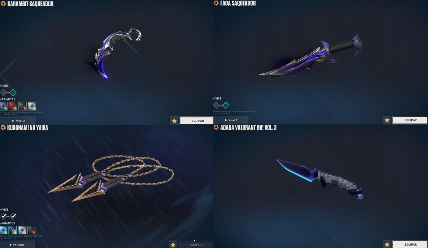 CONTA COM PACOTE CHAMPIONS 2023, 2024, 2025, VCT LOCK//IN E KARAMBIT VCT 25.
