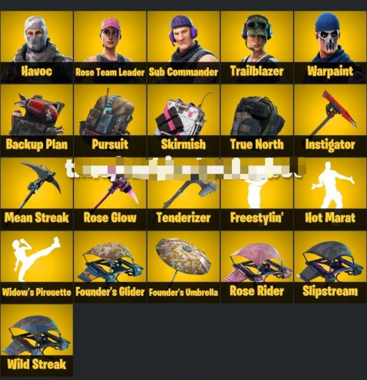 Conta com salve o mundo fundador, Havoc, skins da Twitch e mais