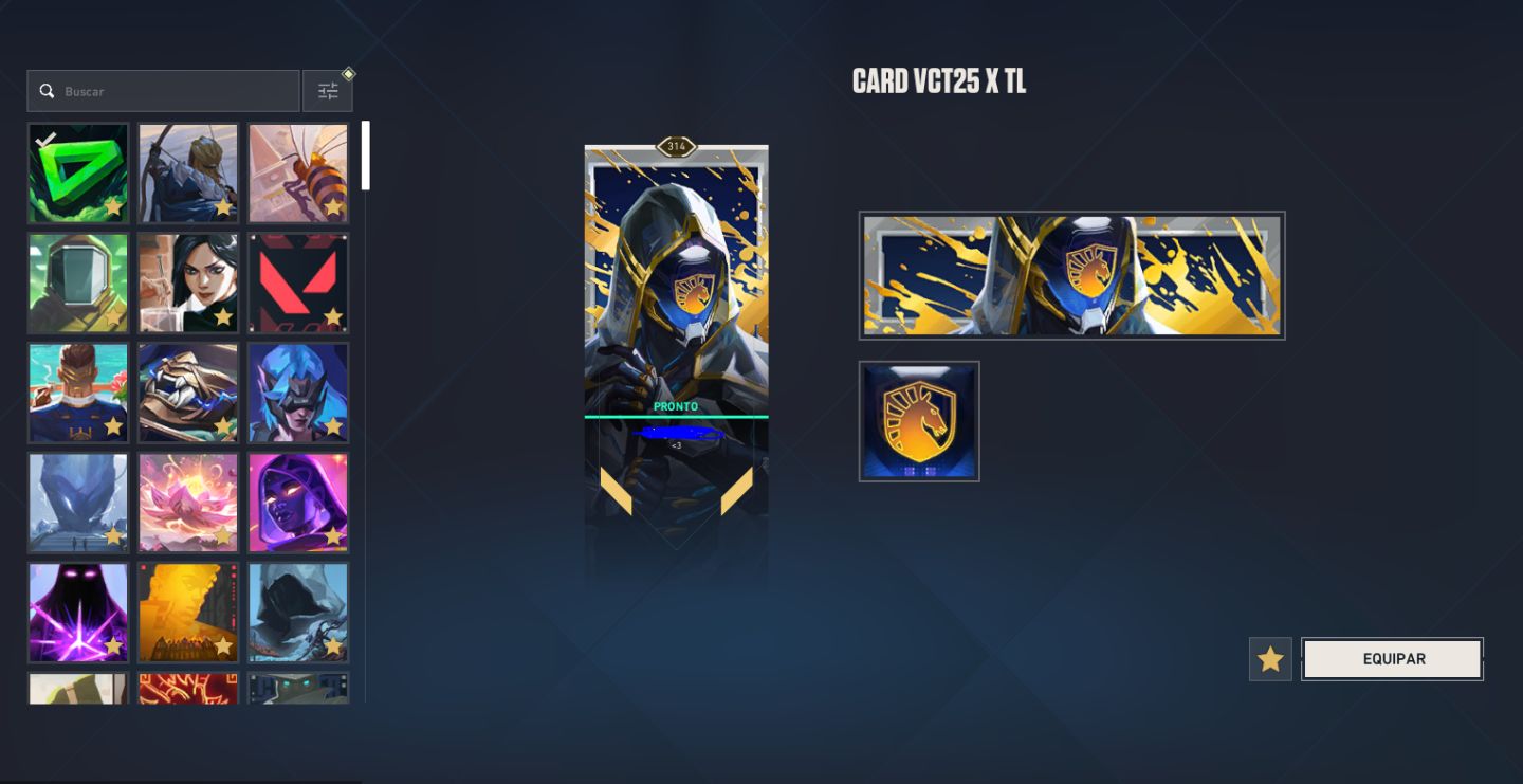 Conta Valorant com Skins - Lvl 314 quase R$3 MIL GASTOS - Ascendente