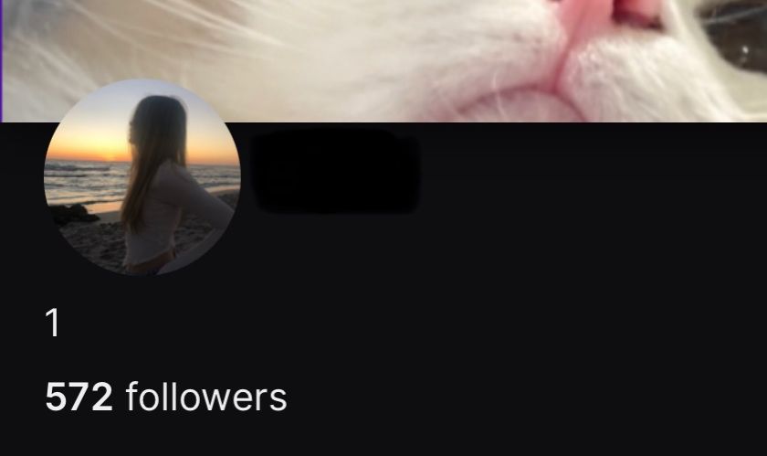 CONTA TWITCH COM 500 SEGUIDORES [ USER 4 LETRAS ]