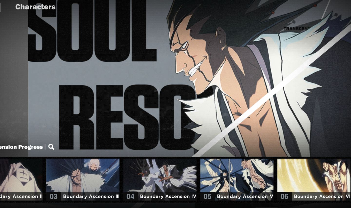 Conta a venda com Zaraki B6 Bleach sou resonance