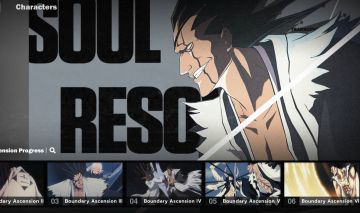 Conta a venda com Zaraki B6 Bleach sou resonance