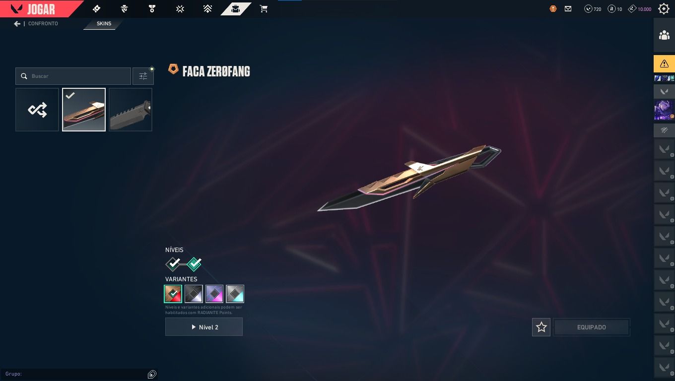 Conta Valorant/ Skin da VANDAL CHAMPIONS 2025 com mais algumas outras