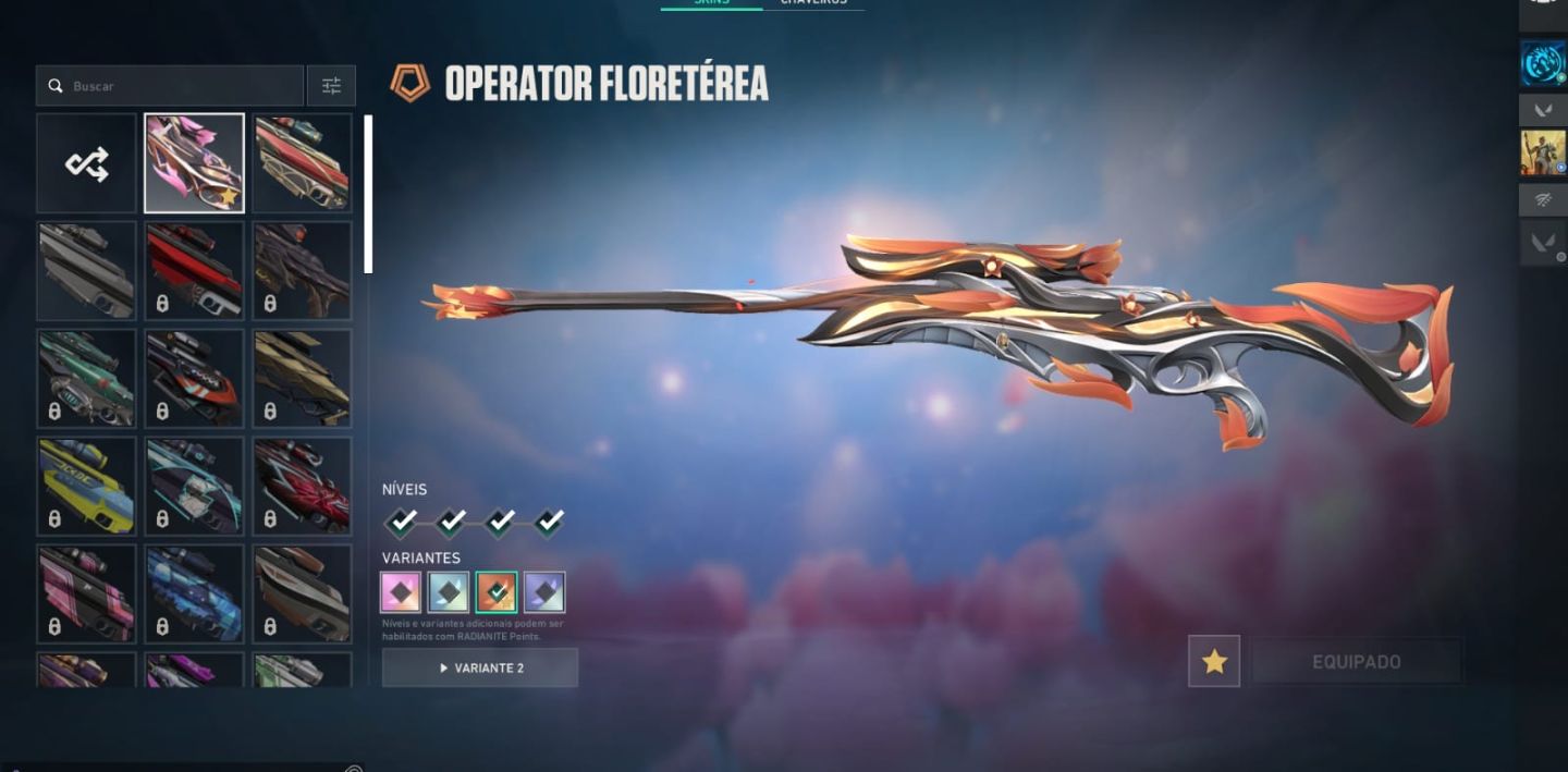 Conta Valorant Ascendente Full Acesso com Muitas Skins e Banners