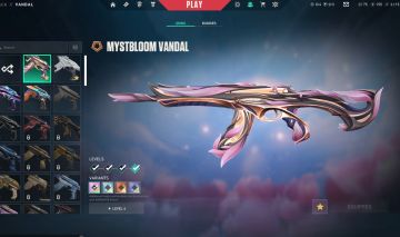 CONTA VALORANT | VANDAL FLORETÉREA, VANDAL ION, KARAMBIT SAQUEADORA E BUTT SING