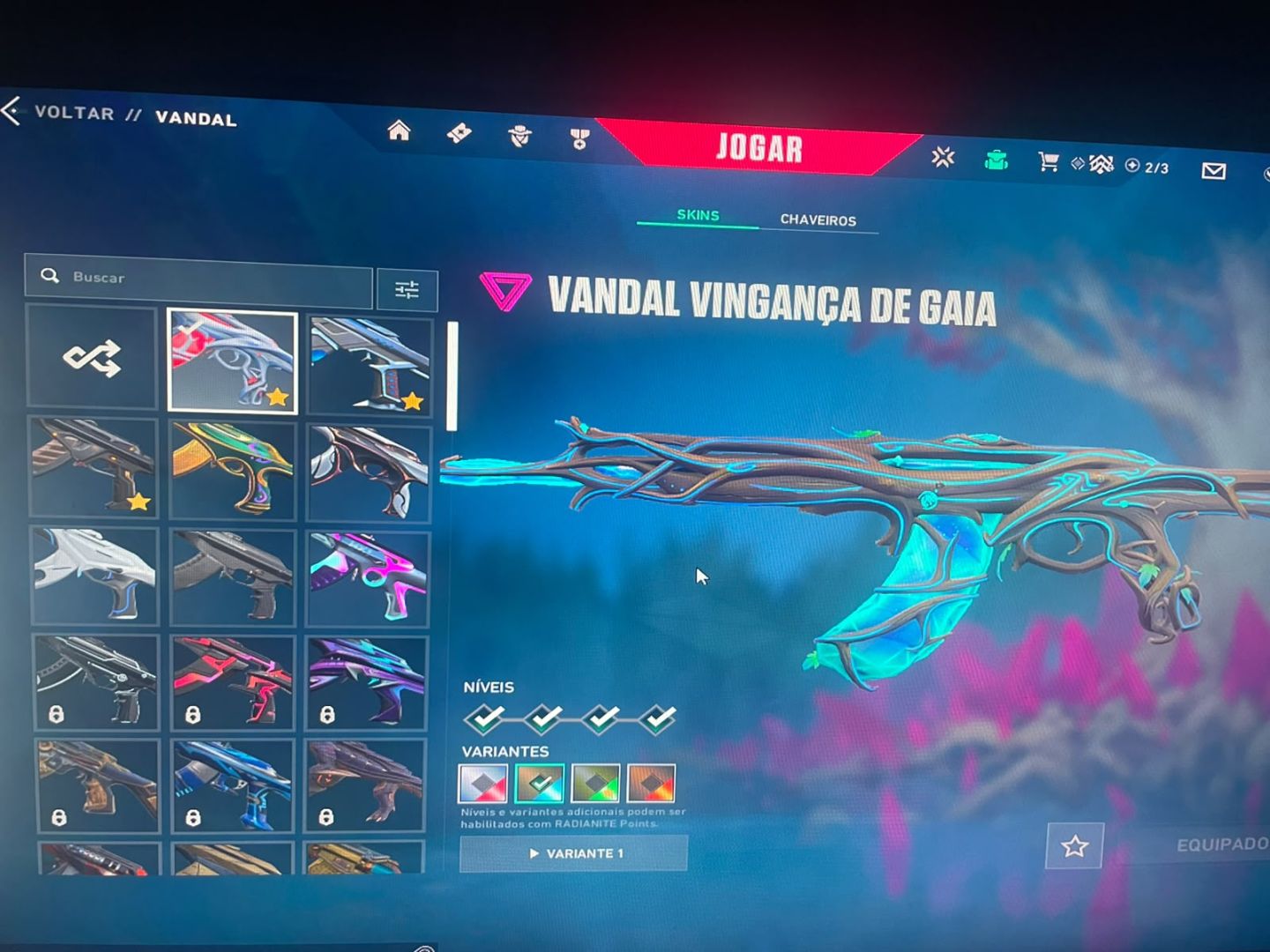 Conta de Valorant Pessoal