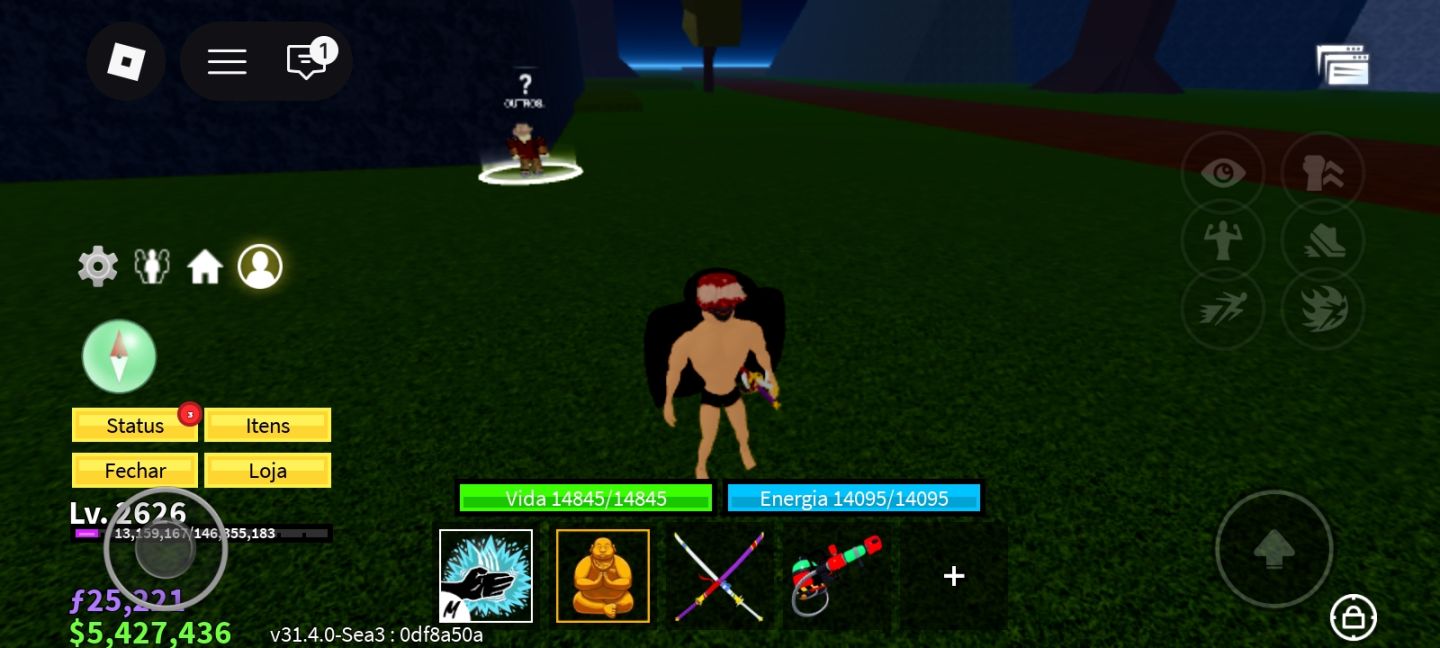 CONTA ROBLOX: BLOX FRUITS, ROUBE UM BRAINROT, BROKHAVEEN E MUITO MAIS!!!